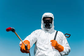 Best Lawn Pest Control  in Los Fresnos, TX